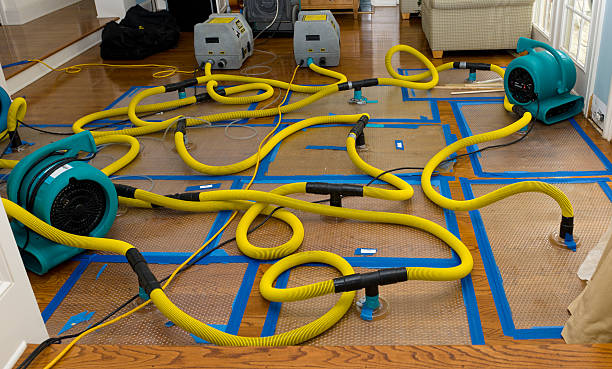 Professional Storm Water Damage Restoration technician working in Rocheport, MO